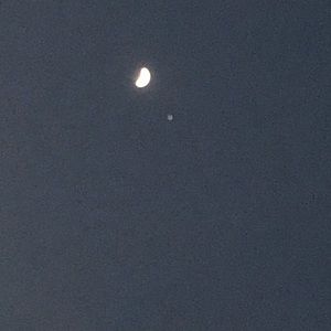 Meet your Posher, Carol ann